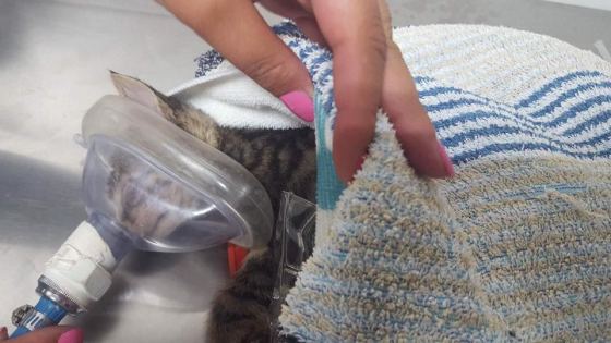 No photo description available.