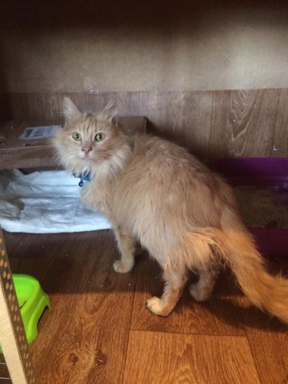 No photo description available.
