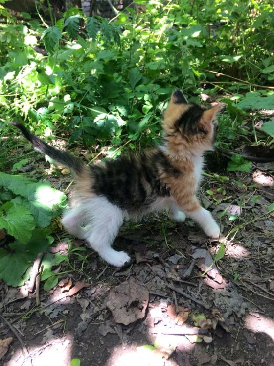 No photo description available.
