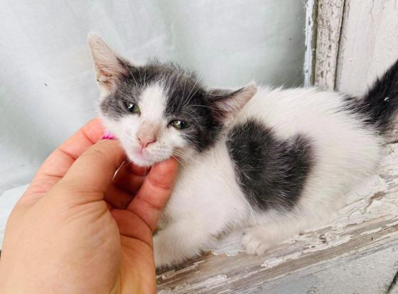No photo description available.