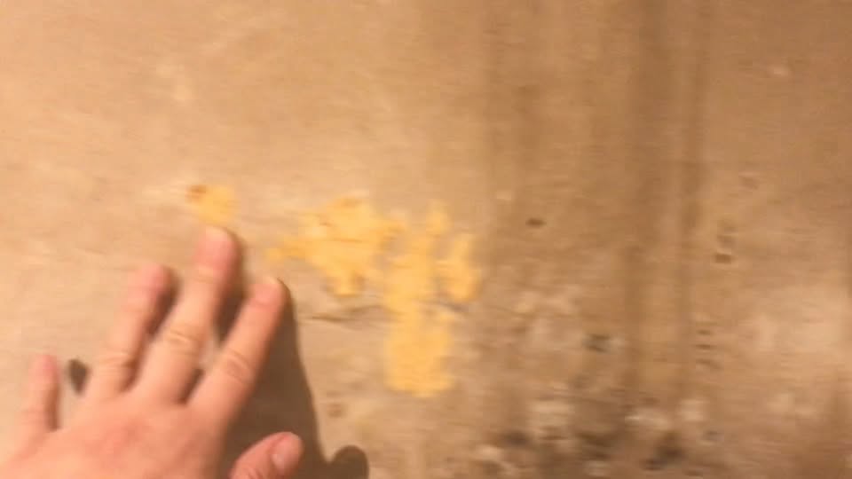 ვიდეო